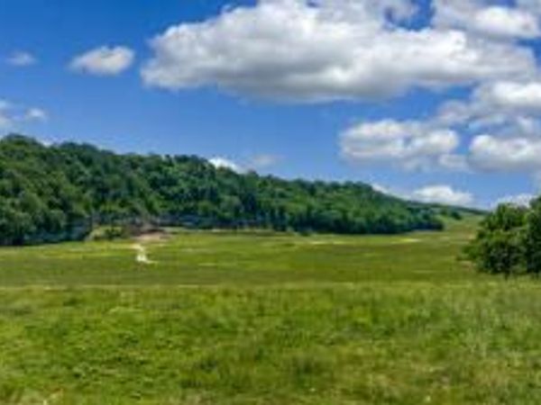 xxx S 590 Road, Jay, OK 74346