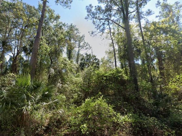 303 Siesta Drive, Georgetown, FL 32139