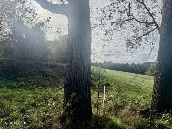 HARMON Rd, New Tazewell, TN 37825