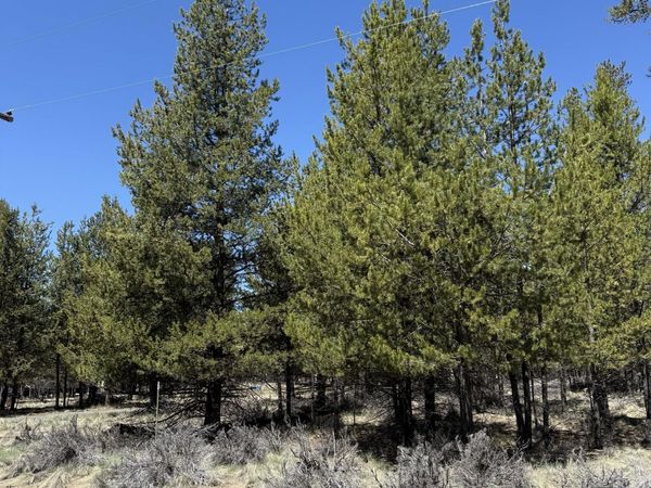 Beechwood Dr Drive, Unit 16, La Pine, OR 97739