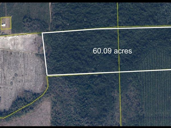 TBD N COUNTY RD 229, RAIFORD, FL 32083