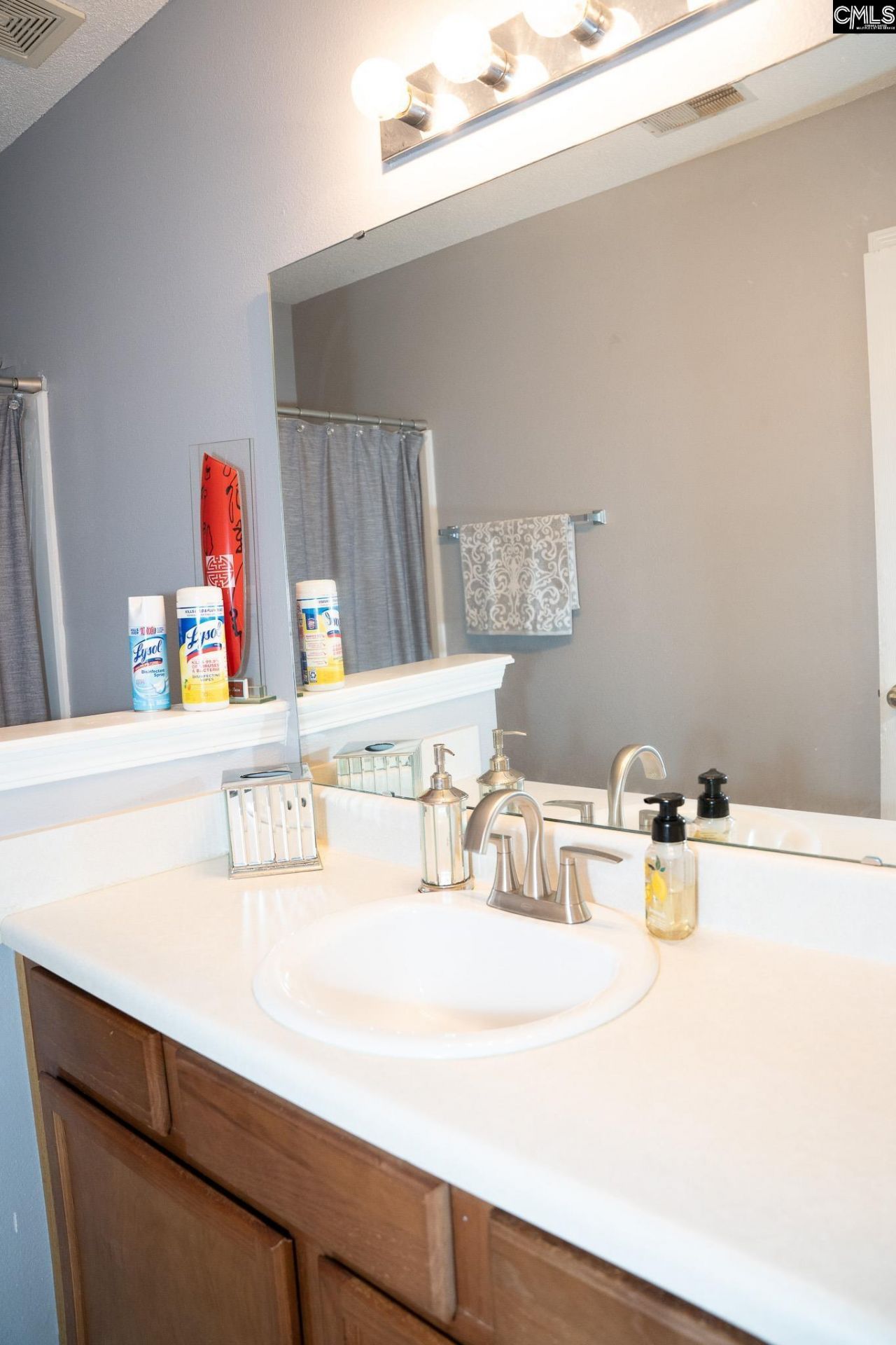 2174 Walker Solomon Way  Photo 19