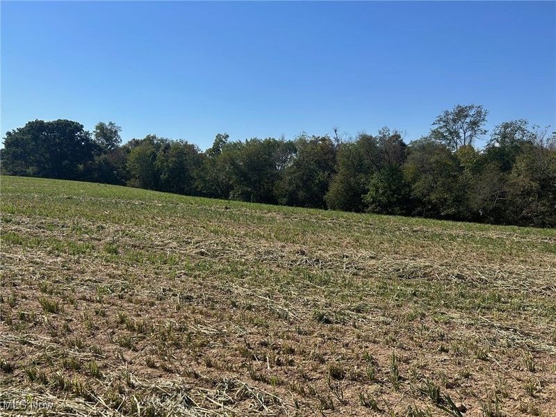 Co Rd 36, Glenford, OH 43739 Photo 5