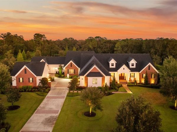 10705 CRANE HILL COURT, THONOTOSASSA, FL 33592