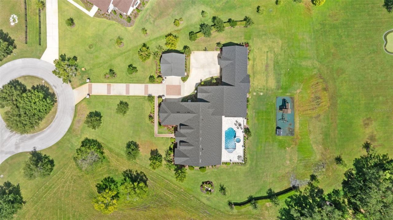 10705 Crane Hill Court, Thonotosassa, FL 33592 Photo