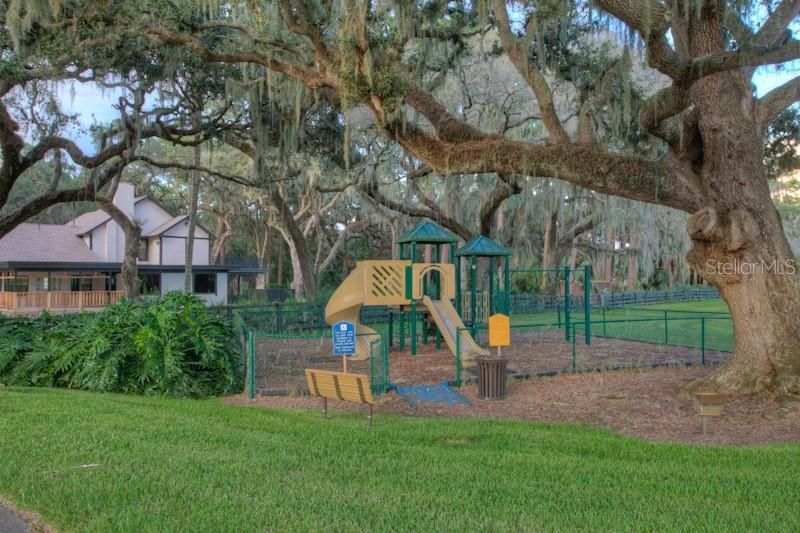 10705 Crane Hill Court, Thonotosassa, FL 33592 Photo