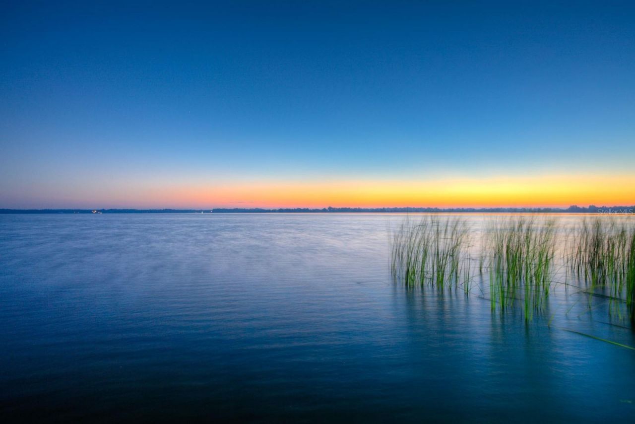 10705 Crane Hill Court, Thonotosassa, FL 33592 Photo