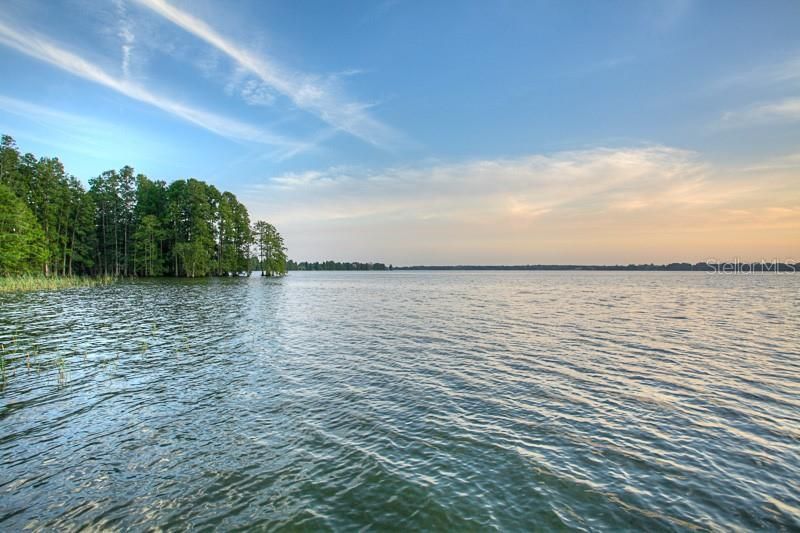 10705 Crane Hill Court, Thonotosassa, FL 33592 Photo