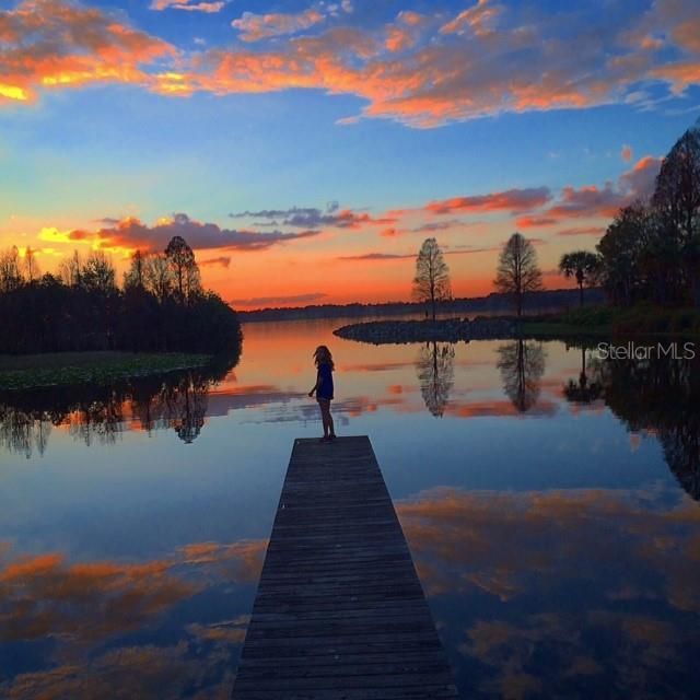 10705 Crane Hill Court, Thonotosassa, FL 33592 Photo