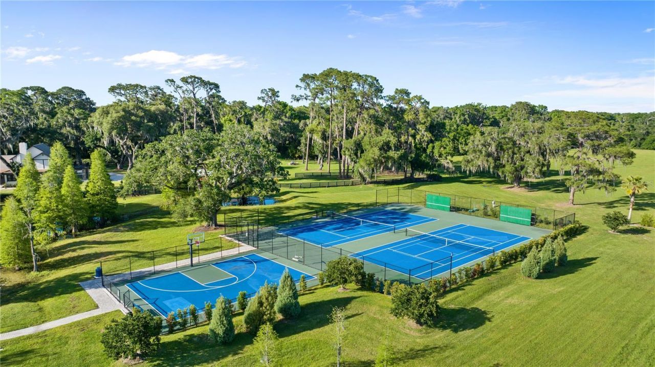 10705 Crane Hill Court, Thonotosassa, FL 33592 Photo