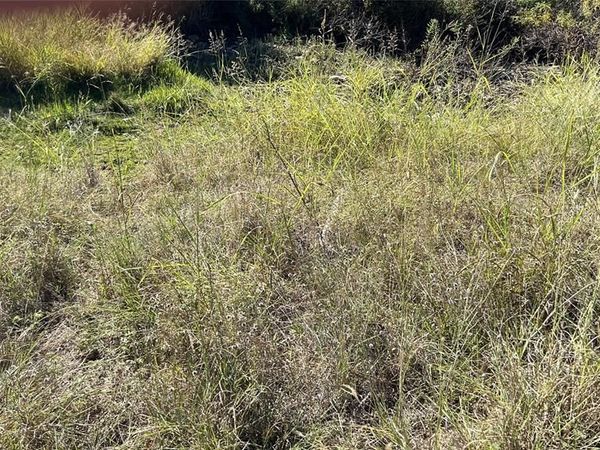 29 &30 Brook Valley Drive , May, TX 76857