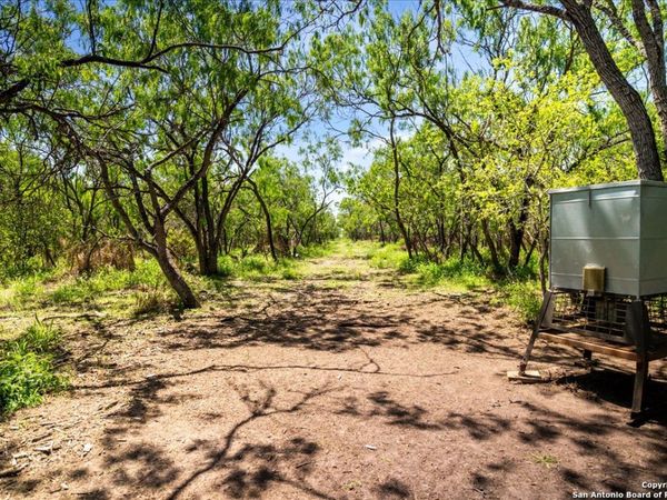 000 CR 175, Sandia, TX 78383