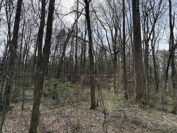 1 69 HWY, Milledgeville, TN 38359