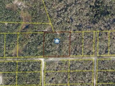 ROSE BLOOM AVE, WEBSTER, FL 33597
