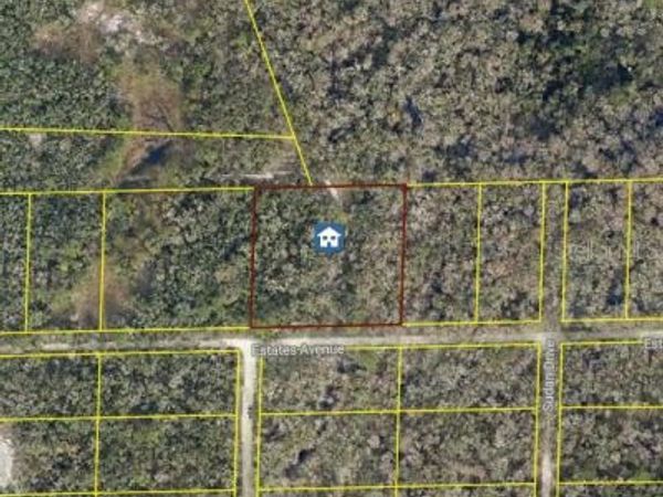 ROSE BLOOM AVE, WEBSTER, FL 33597