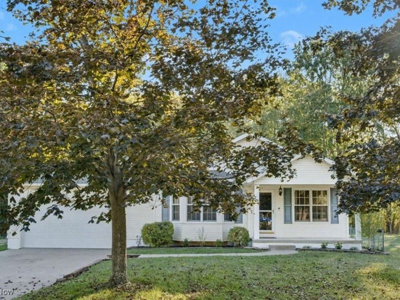 233 Marion Avenue, Akron, OH 44312 Photo 36