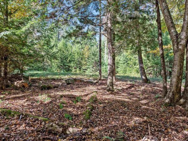 442 VT Route 12, Unit 2, Middlesex, VT 05602