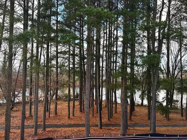 HOMESITE 68 MARSH ELDER ROAD, CAMBRIDGE, MD 21613