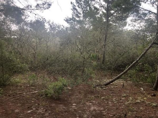0 Alturas Babson Park Cutoff Road, Lake Wales, FL 33859