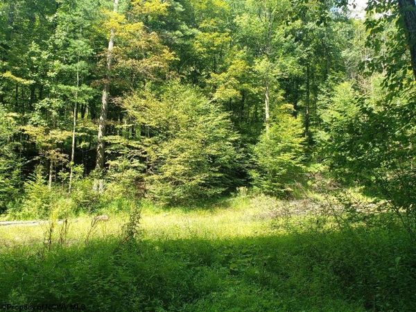 100 Steve Rosier Road, Parsons, WV 26287