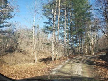 100 Steve Rosier Road, Parsons, WV 26287