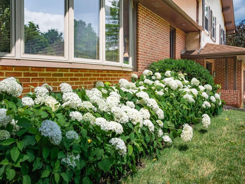 4190 Johnstown Alexandria Road, Johnstown, OH 43031 Photo 66