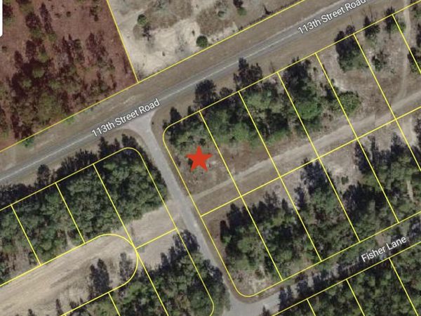 0 Tbd 113th Street Lot 1 Road, Ocklawaha, FL 32179