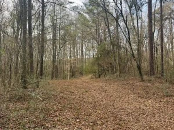 Beartown Road, Jayess, MS 39641