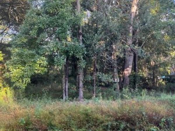 0 Dorothy Street, Ocean Springs, MS 39564