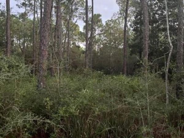 0 18th Street, Pass Christian, MS 39571