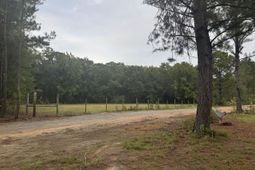 437 Cedar Crest Drive photo 4