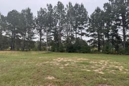 437 Cedar Crest Drive photo 4