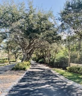 250 Minorca Beach Way, Unit 203, New Smyrna Beach, FL 32169 Photo