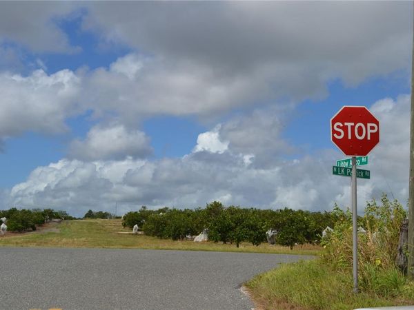 LAKE PATRICK ROAD N, BABSON PARK, FL 33827