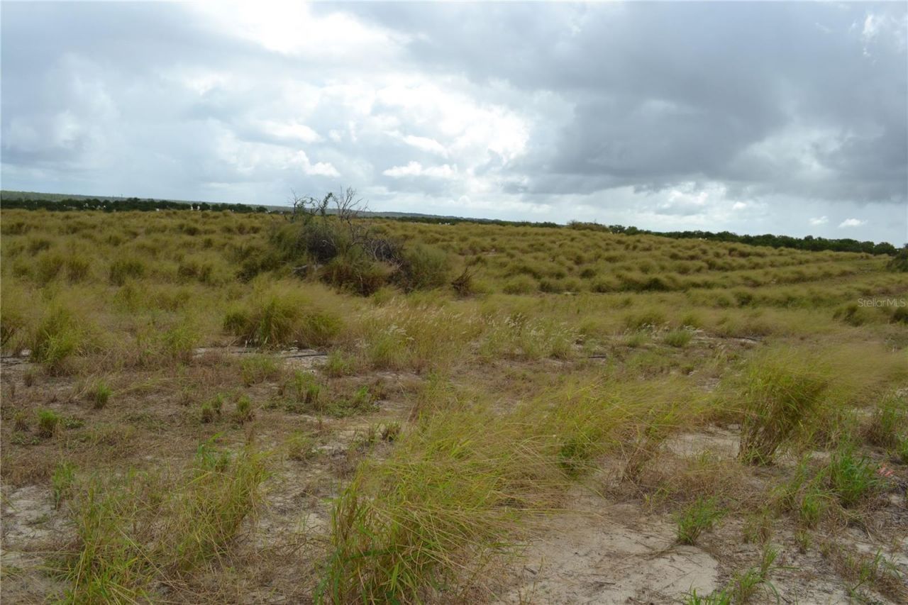 Lake Patrick Road N, Babson Park, FL 33827 Photo