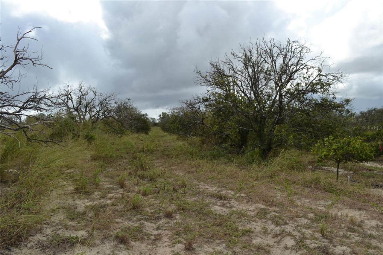 Lake Patrick Road N, Babson Park, FL 33827 Photo