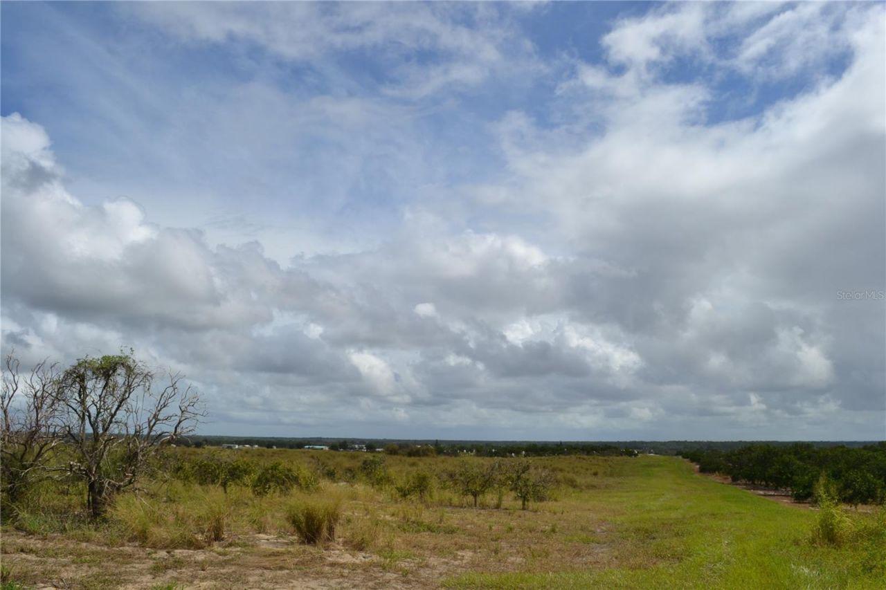 Lake Patrick Road N, Babson Park, FL 33827 Photo