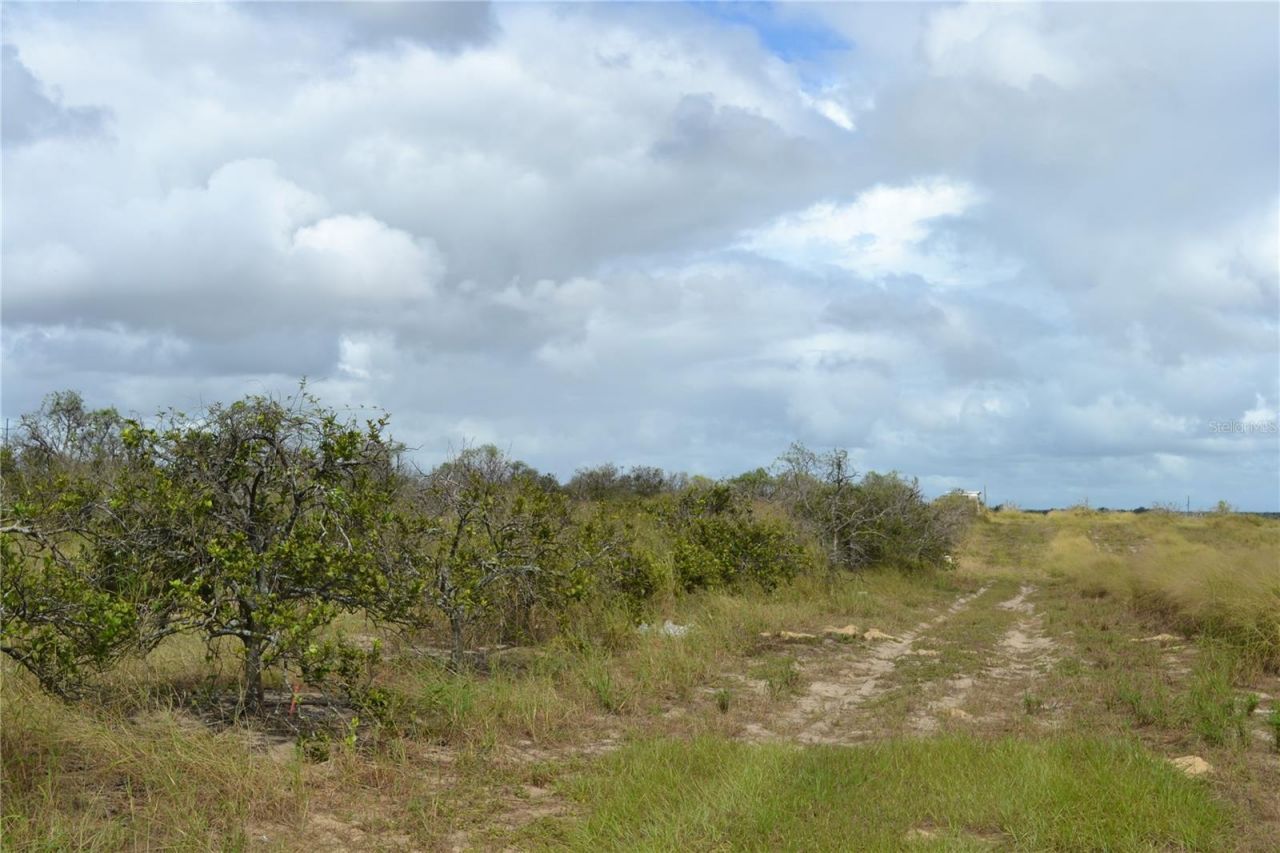 Lake Patrick Road N, Babson Park, FL 33827 Photo