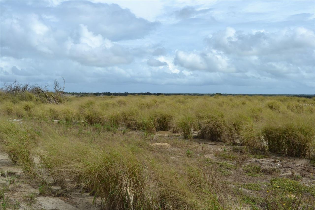 Lake Patrick Road N, Babson Park, FL 33827 Photo