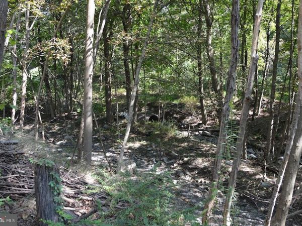 0 S READING RAILROAD, SHENANDOAH, PA 17976