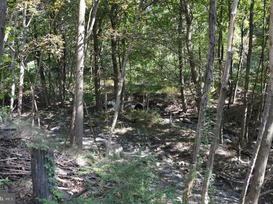 0 S Reading Railroad, Shenandoah, PA 17976 Main Photo