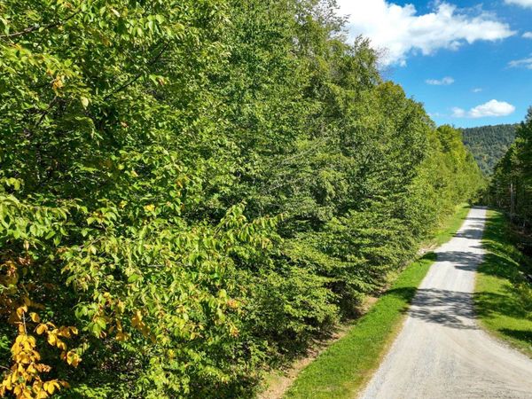 3-57 Snowy Owl Lane, Plymouth, VT 05056