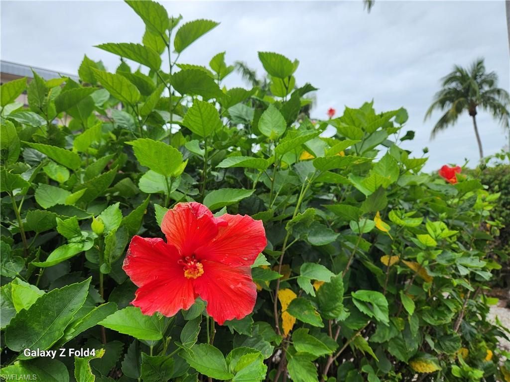 805 River Point Dr, Unit C-307, Naples, FL 34102 Photo