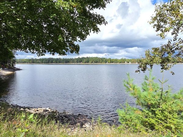 13428 W Shore Drive, Millersburg, MI 49759