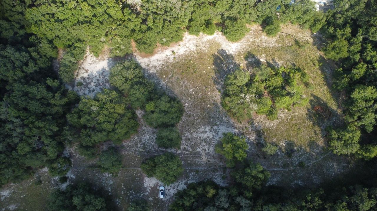 17281 SE 130th, Weirsdale, FL 32195 Photo