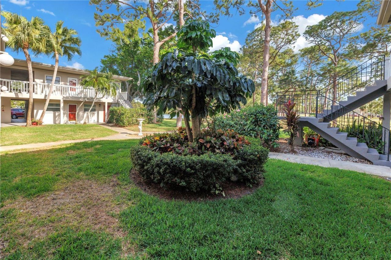 800 71st Avenue N, Unit 10, Saint Petersburg, FL 33702 Photo