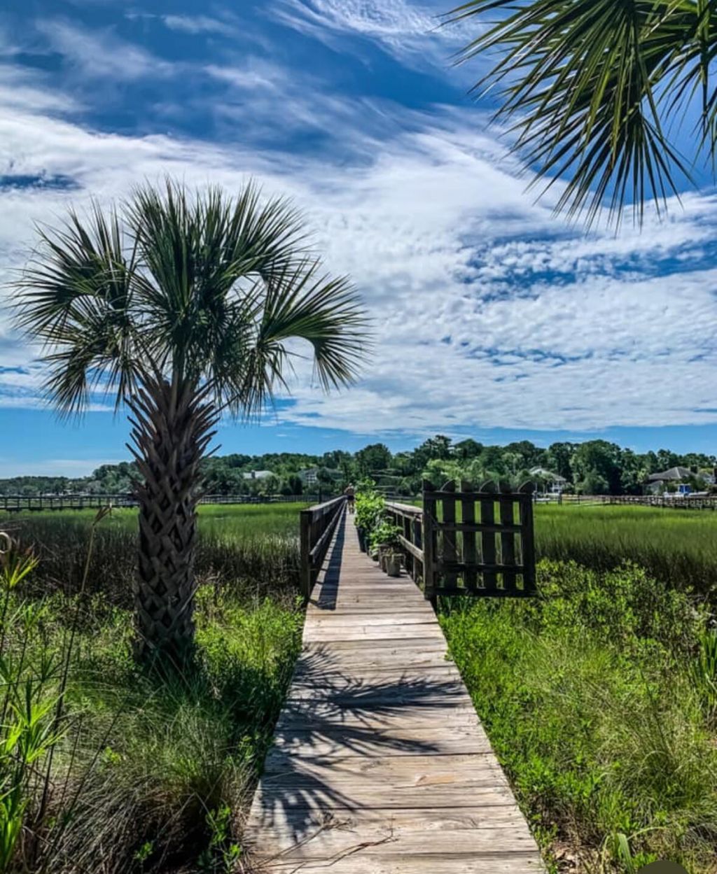 1756 Greenspoint Court Photo 36