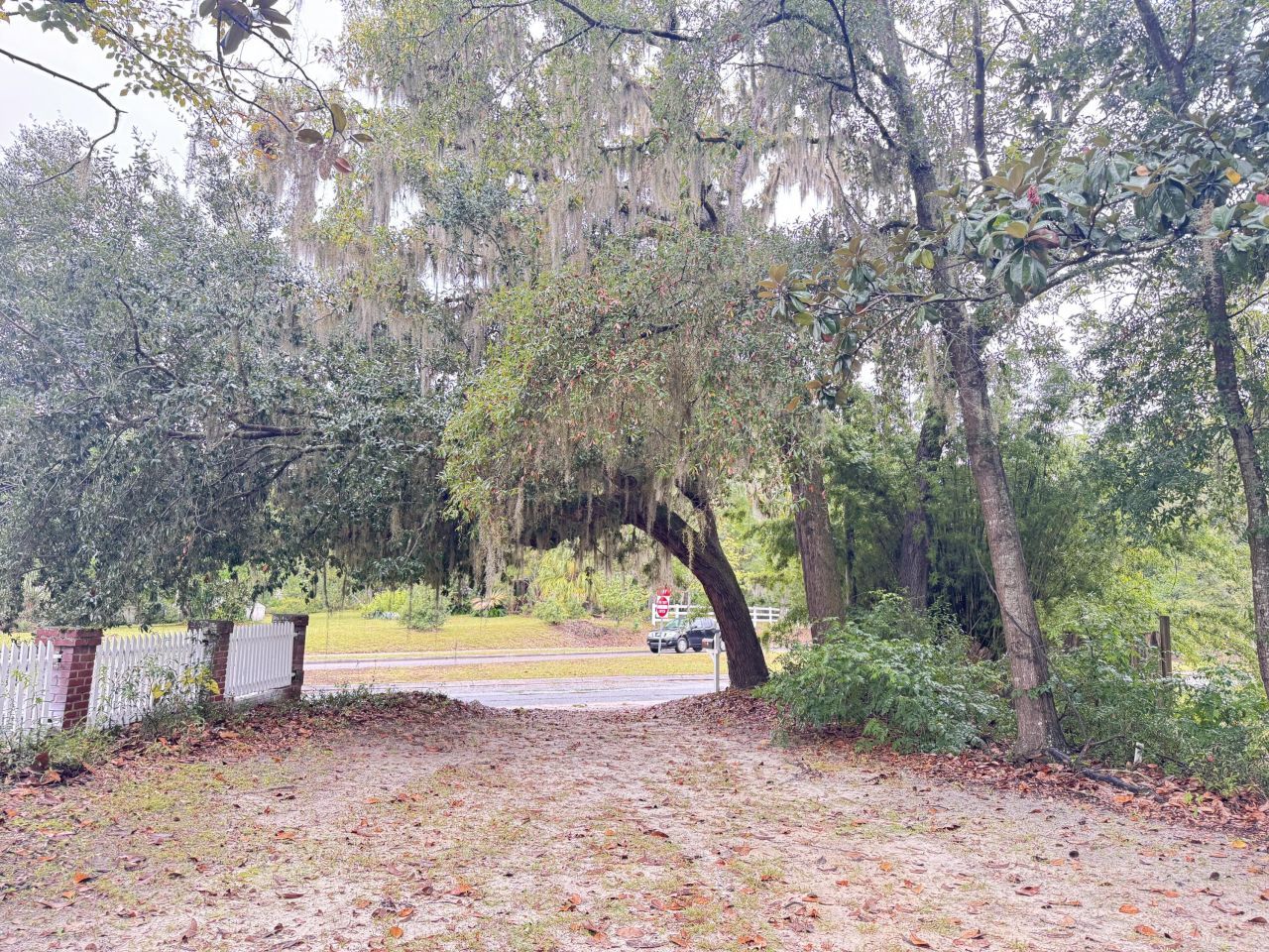 119 Padgett Loop Photo 42