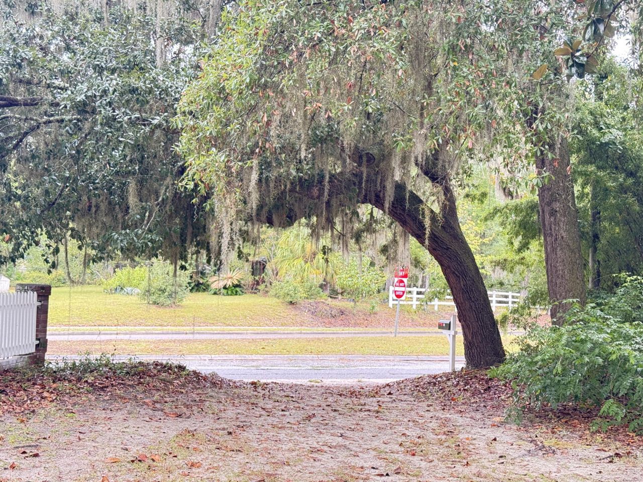 119 Padgett Loop Photo 43