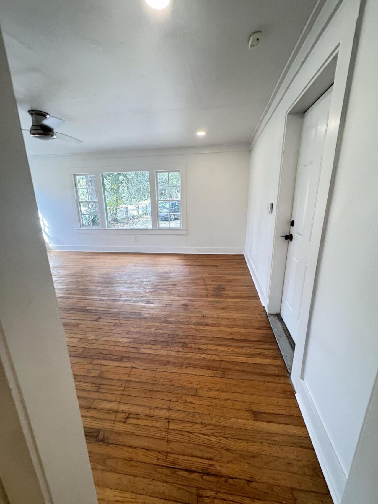 119 Padgett Loop Photo 6